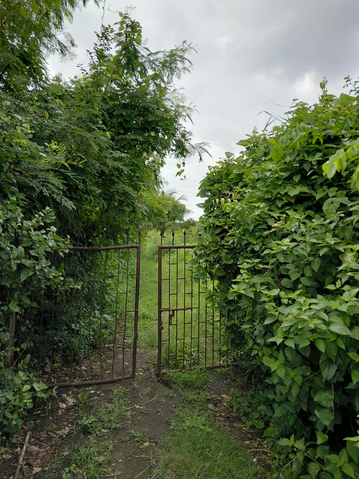 Land