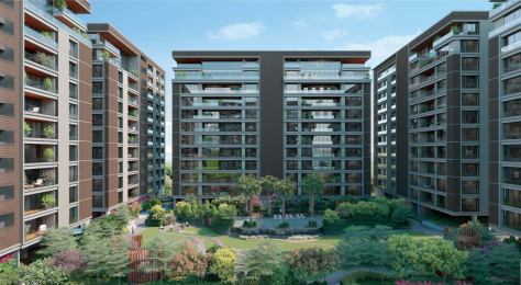 Avadh Miliana