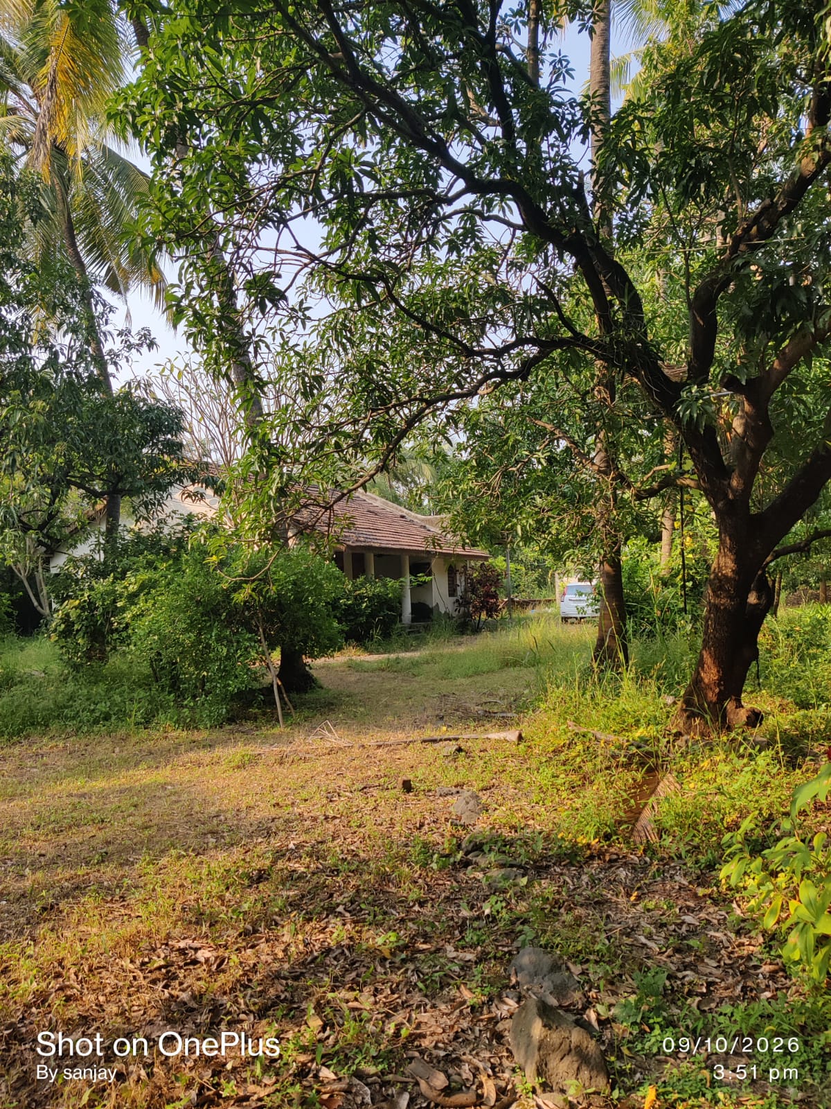 Agriculture Land - Village Rabda (Rabda)
