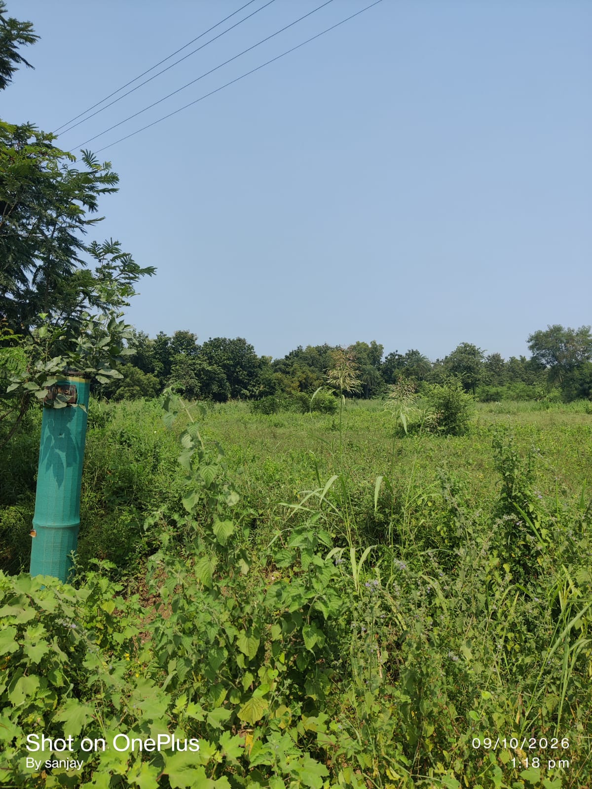 Agriculture Land - Village Gudlav (Gudlav)